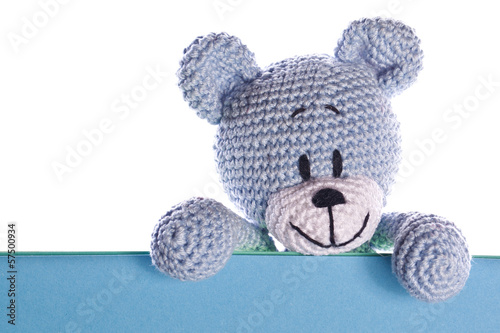 teddy bear with empty blue label sign