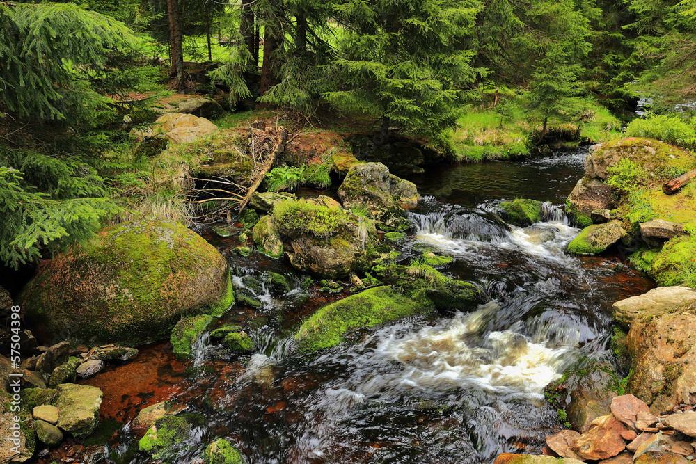 Creek in the beautiful Wilderness Creek in the beautiful Wilderness