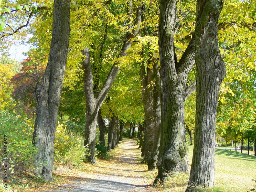 Wege der Natur Wege der Natur