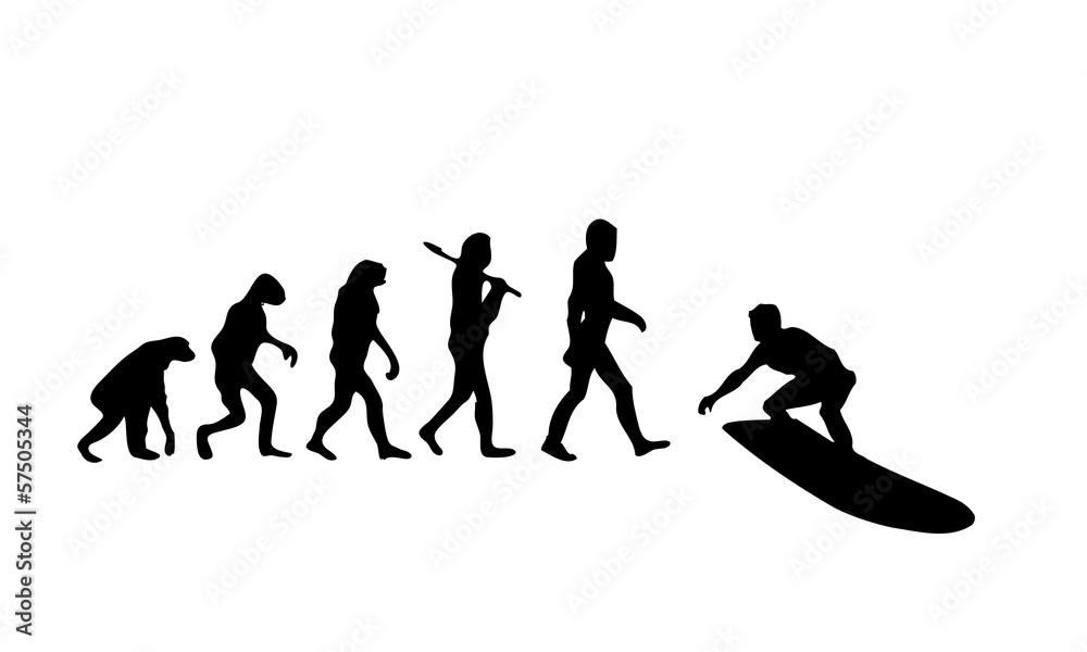 Evolution Surfing 2