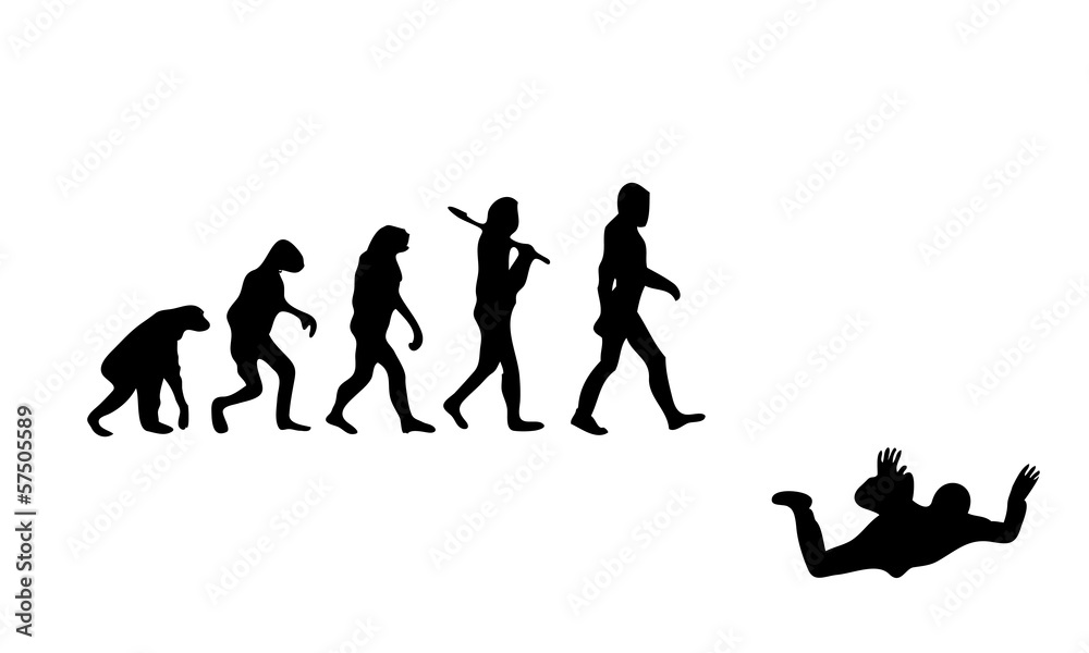 Evolution Free Falling Evolution Free Falling