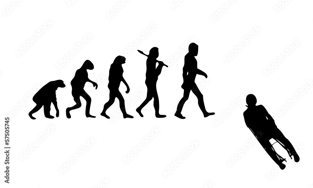 Evolution Sledging