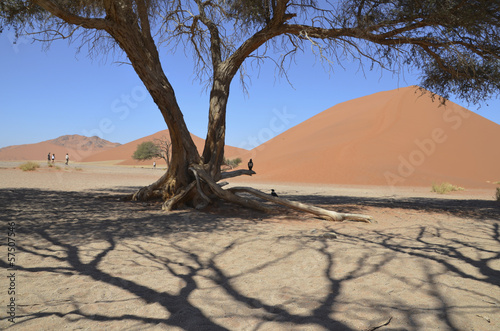 Namibia - Die Dünen von Sossusvlei