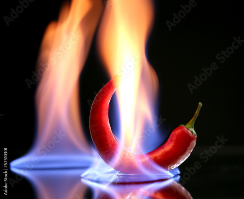 Red hot chili pepper on fire, isolated on black