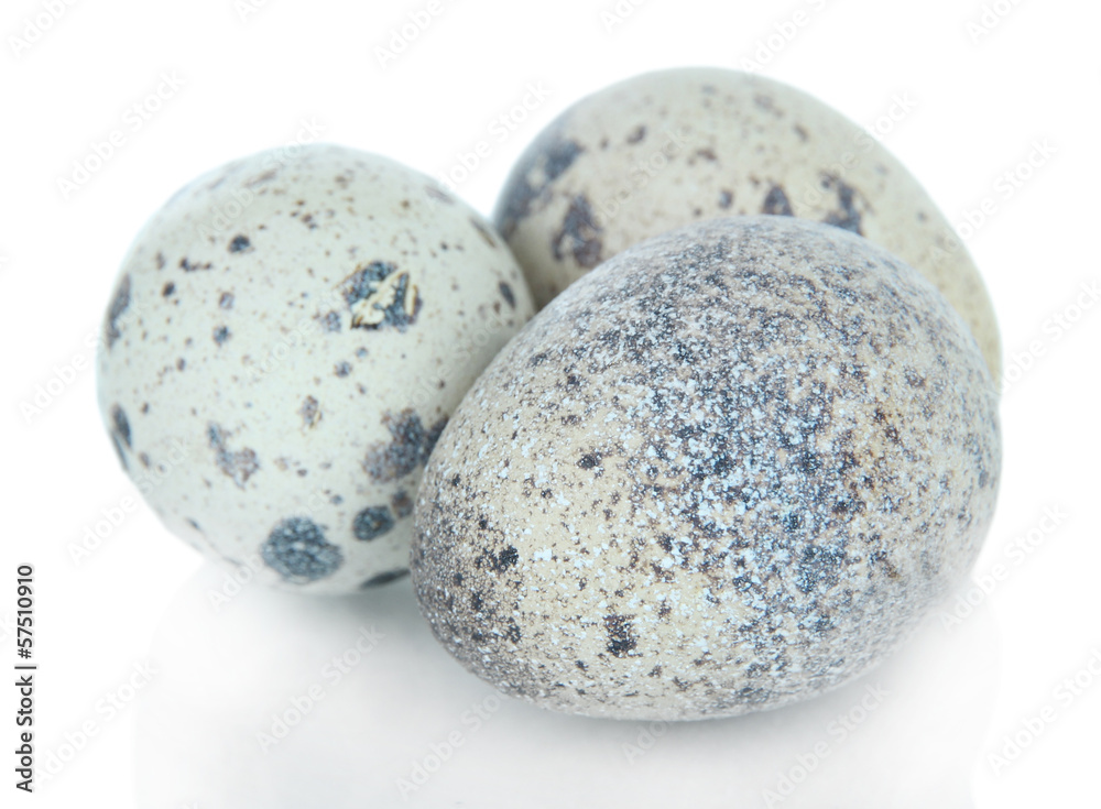 Obraz premium Quail eggs isolated on white