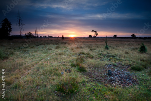 sunrise over dunes and meadows