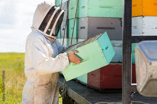 Beekeeper Carrying Honeycomb Crate At Apiary