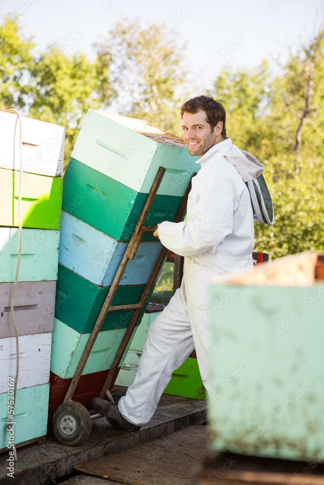 Beekeeper Smiling While Stacking Honeycomb Crates In Truck