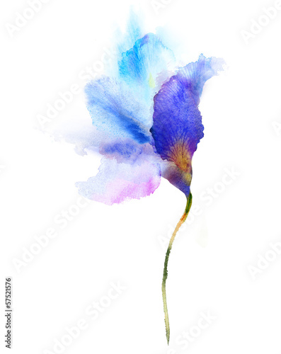 Akwarela niebieski kwiat