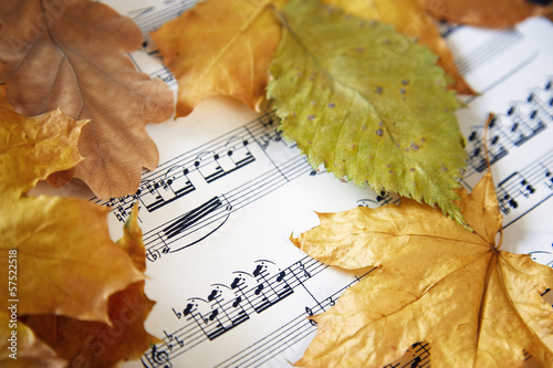 Fotografie Autumn nocturne