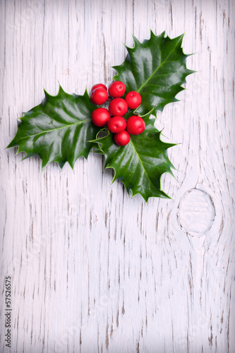 Sprig of christmas holly with red berries on vintage wooden back
