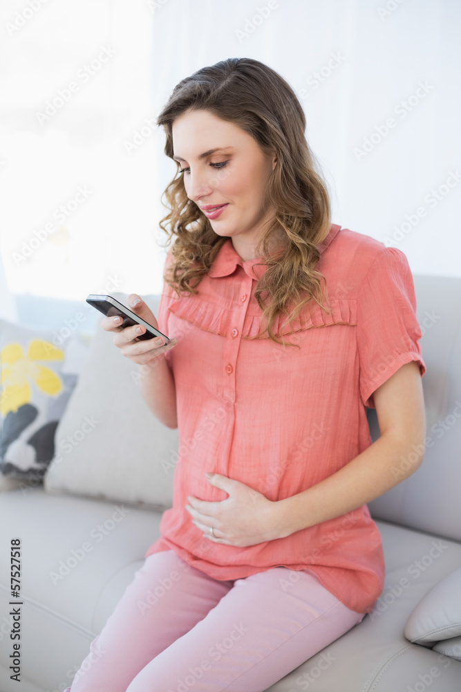 Calm pregnant woman using her smartphone sitting on a couch in t Calm pregnant woman using her smartphone sitting on a couch in t