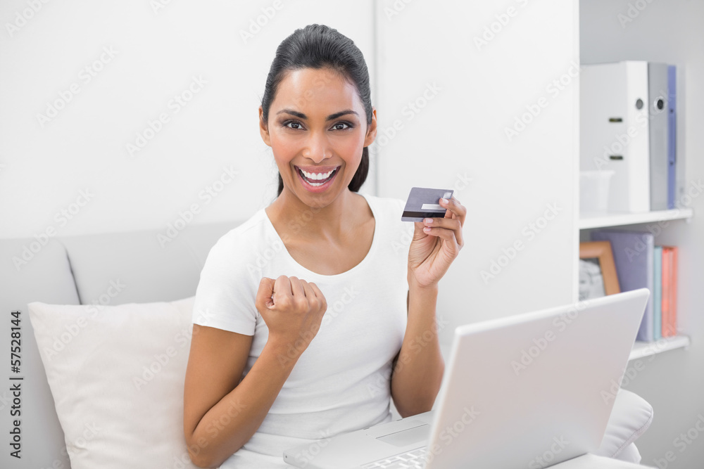 Beautiful successful woman home shopping with her notebook