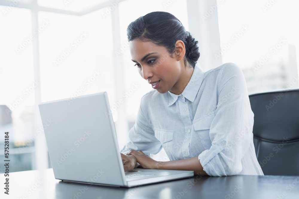 Attractive young businesswoman working using her laptop Attractive young businesswoman working using her laptop