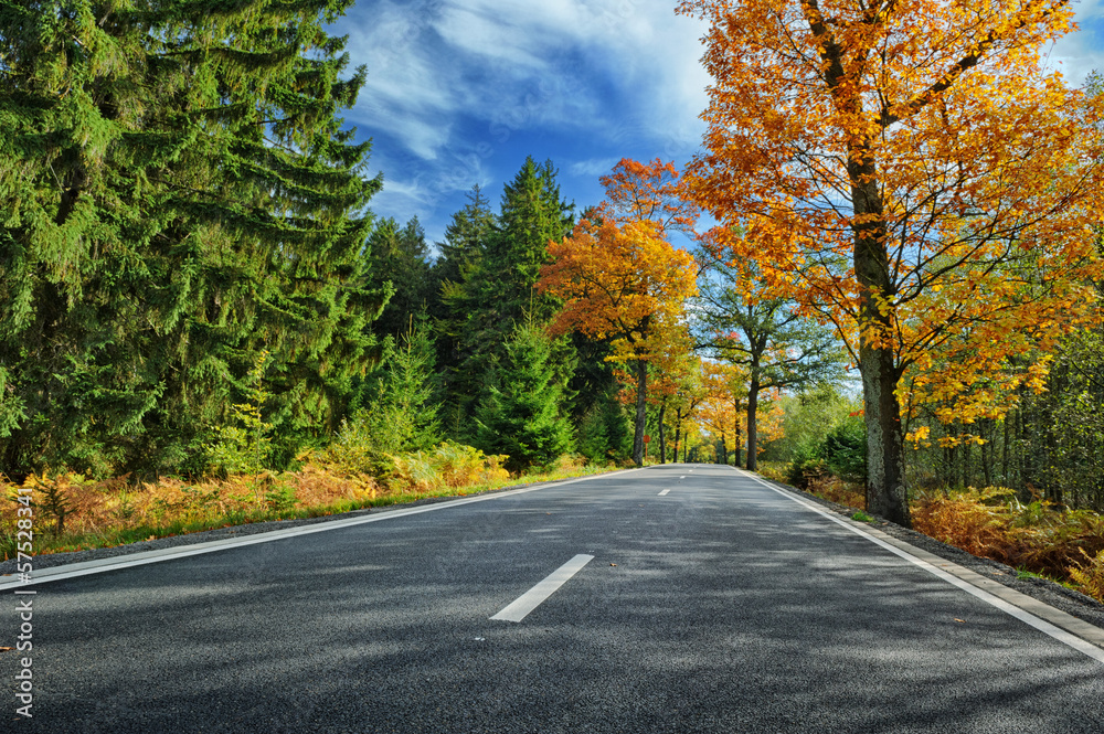 Fototapeta premium Colorful autumn landscape with road