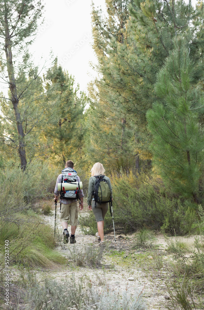 Obraz premium Rear view of a fit young couple exploring the woods