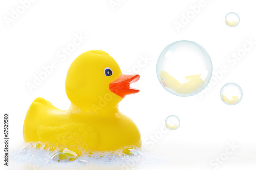 фотографія Yellow rubber duck in bath foam