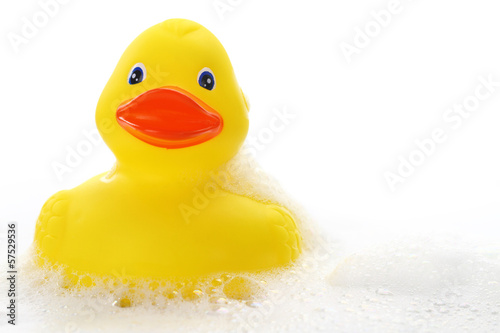 Yellow rubber duck in bath foam