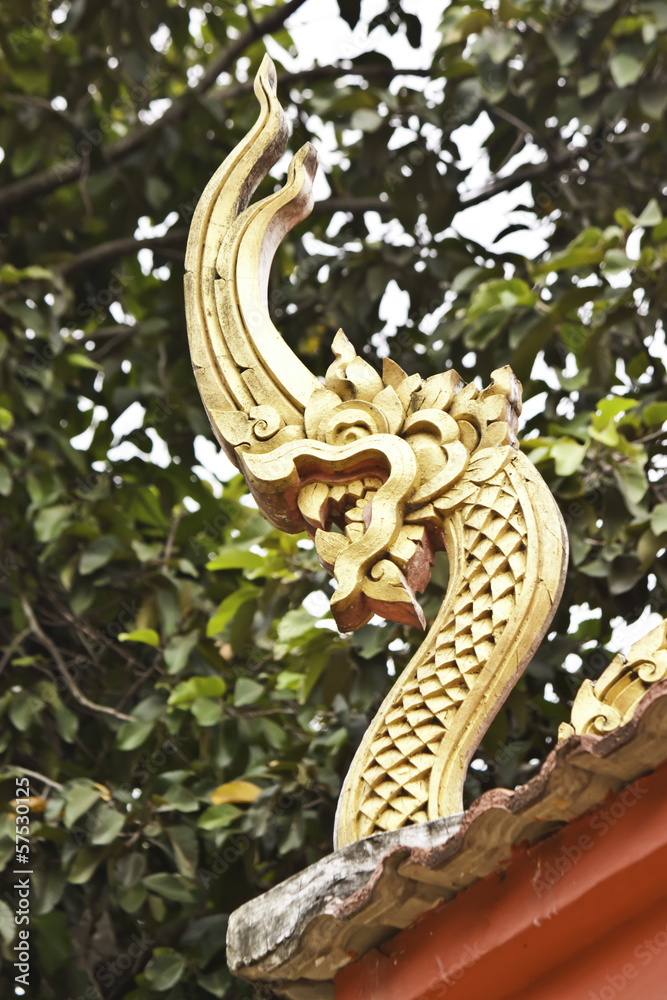 Obraz premium naga image