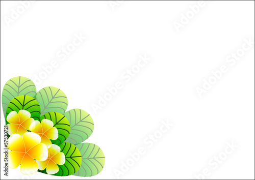 flower vector background