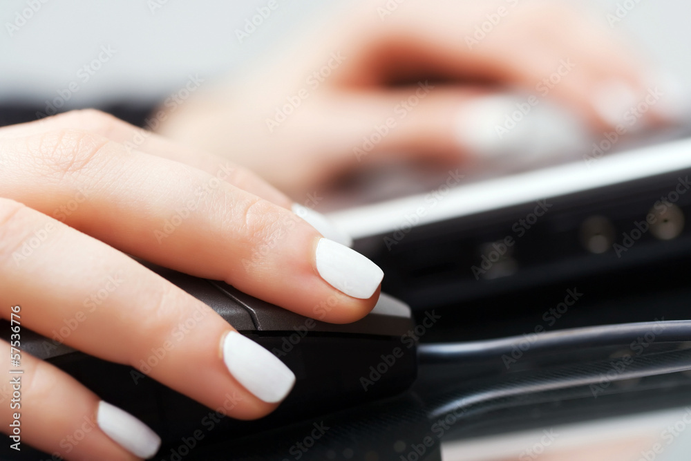 Female hands using computer Female hands using computer