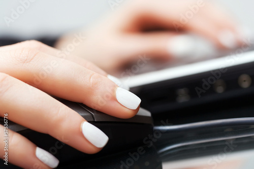 Female hands using computer