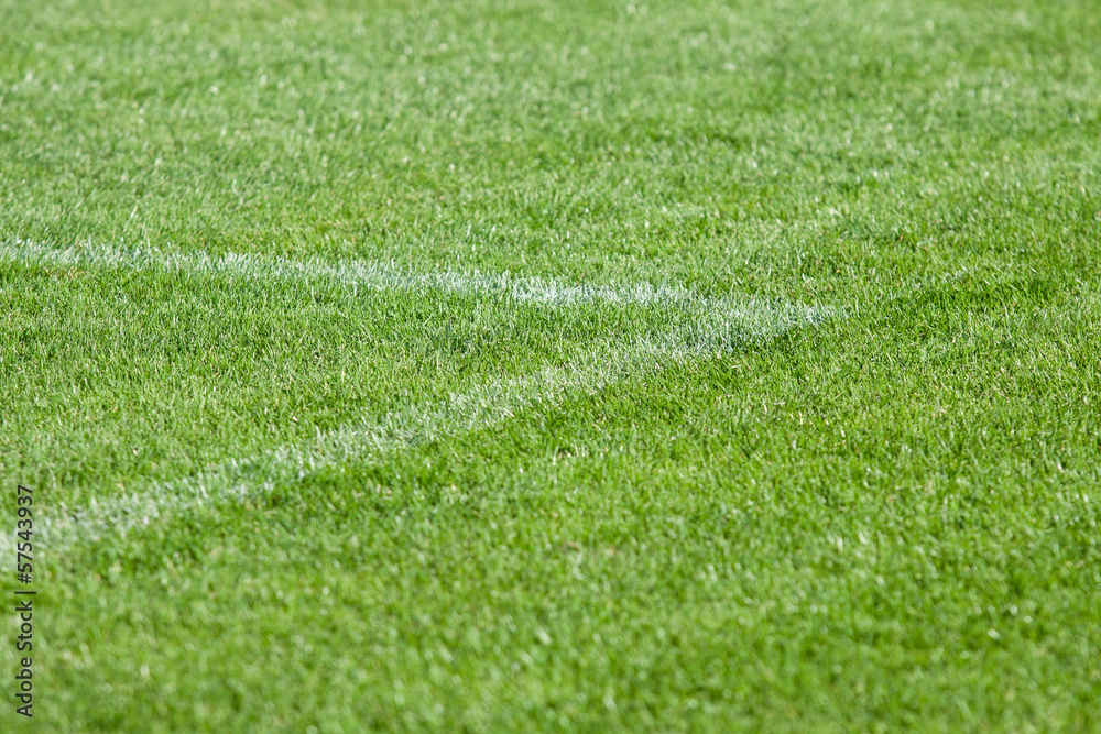 Naklejka premium Boisko do piłki nożnej - trawa