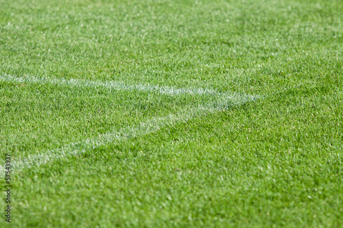Boisko do piłki nożnej - trawa