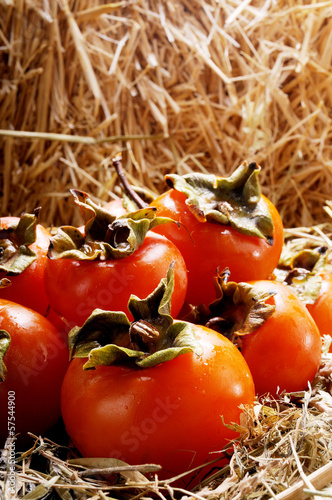 Persimmon on the straw photo