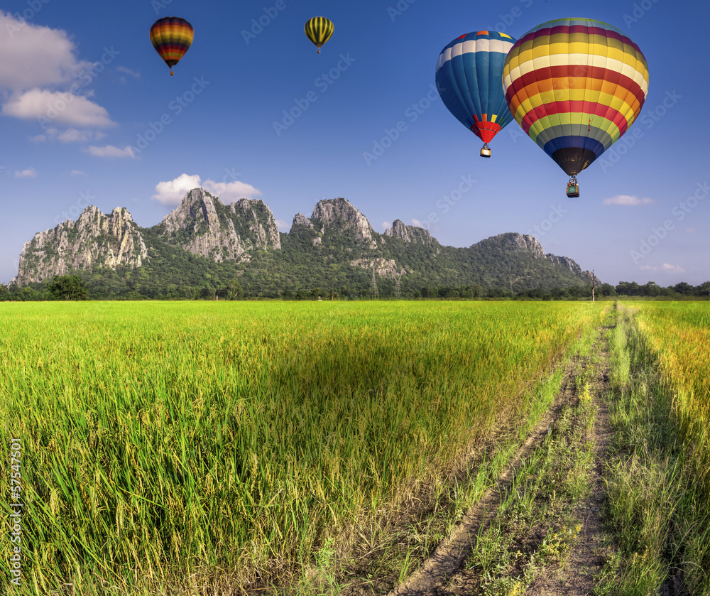 Fototapeta premium Balloon fly