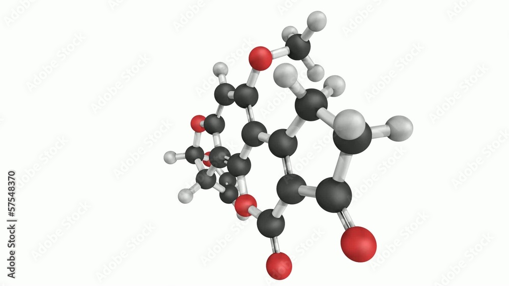 Aflatoxin b1 is a carcinogenic metabolites of fungal species Aflatoxin b1 is a carcinogenic metabolites of fungal species