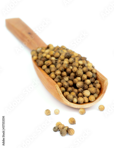 Coriander Seeds