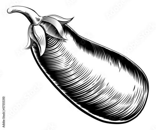 Vintage retro eggplant brinjal or aubergine