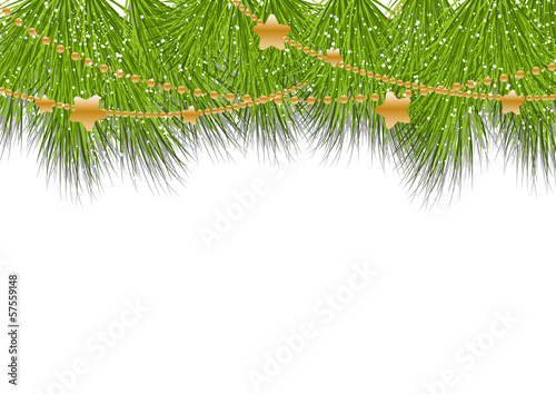 Christmas background with pine branches