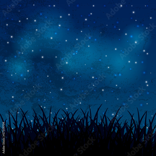 Night sky with shiny stars