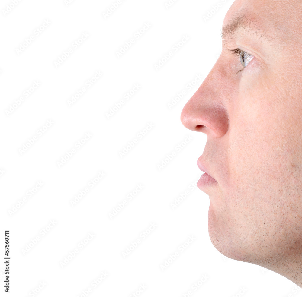 profile of face profile of face