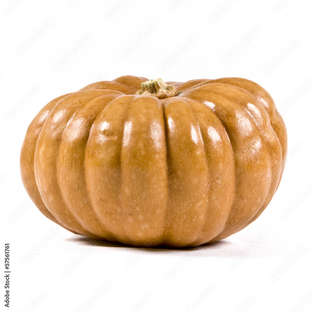 Obraz premium Zucca