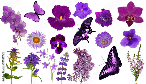 Fototapeta Naklejka Na Ścianę i Meble -  set of lilac color butterflies and flowers