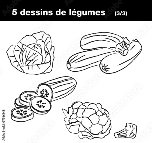 Légumes : chou, courgette, concombre, chou-fleur