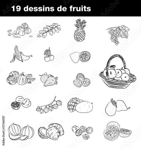 19 dessins de fruits