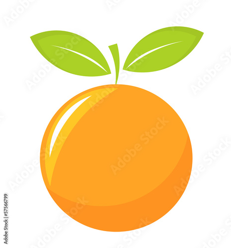 Orange fruit icon