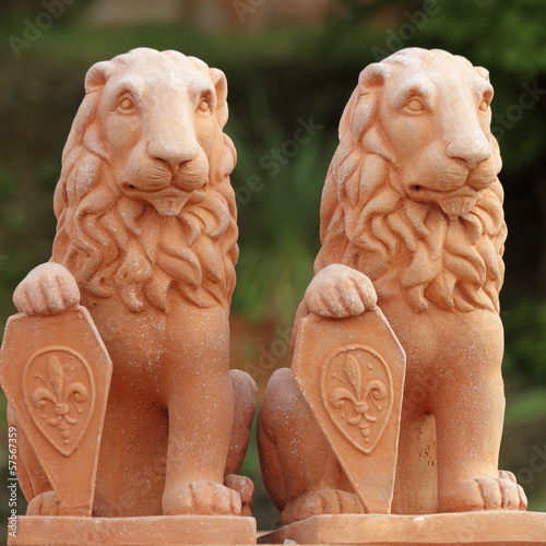 heraldic lions sculptures in tuscan terracotta photo