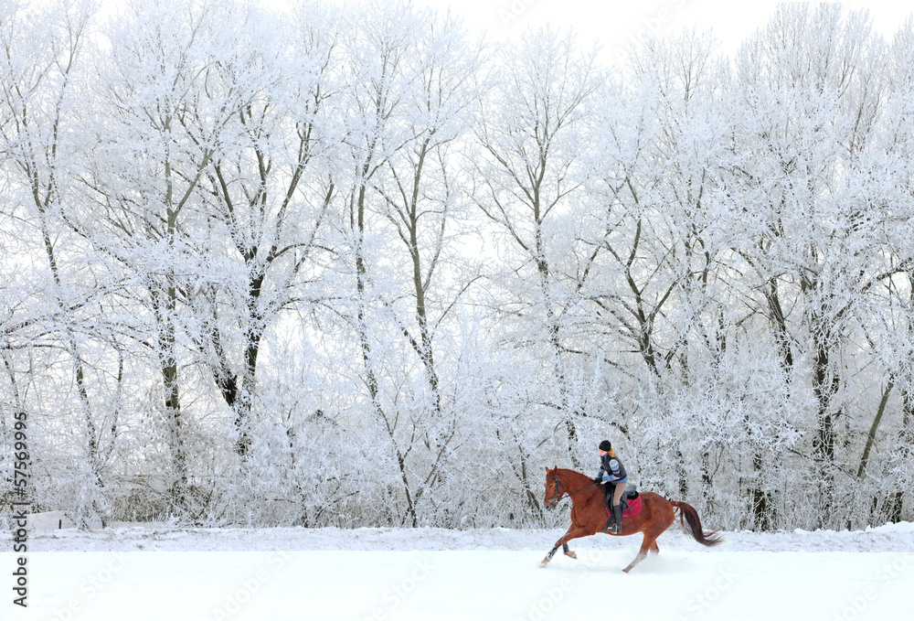 Woman and her horse cantering in fresh snow