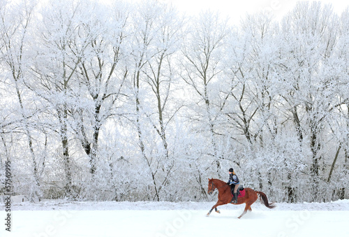 Obraz na płótnie Woman and her horse cantering in fresh snow w salonie