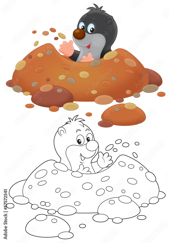 Mole Mole
