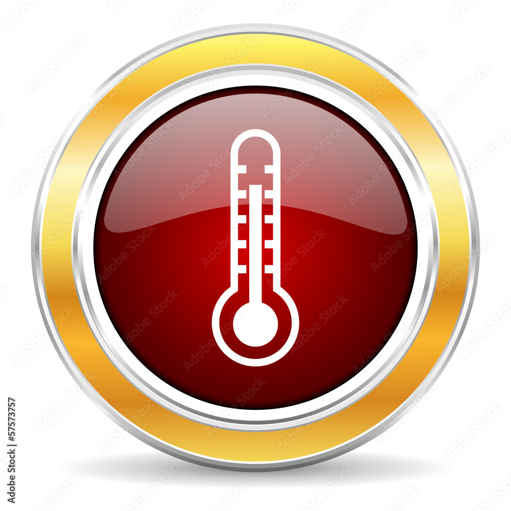 thermometer icon thermometer icon