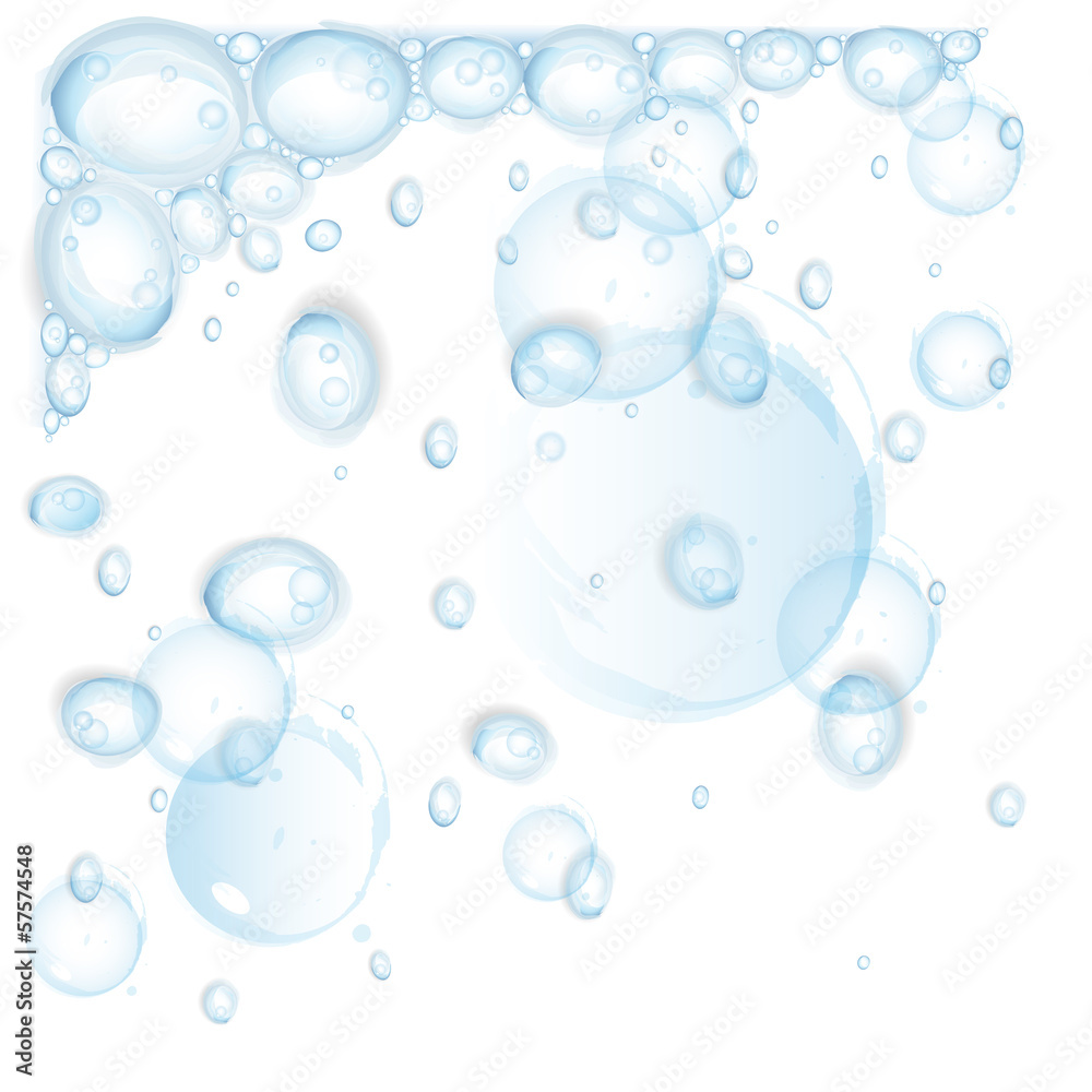 Water Drops - On White Background - Vector Illustration