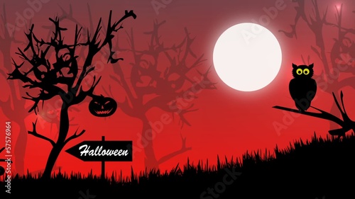 animazione per la notte di halloween
