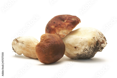 Mushrooms Bolete on a white background (Boletus edulis Bull.)