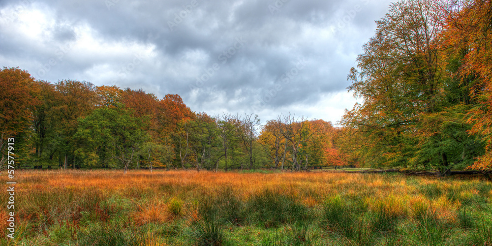 Beautiful HDR autumn landscape